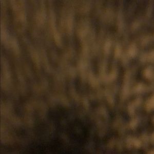 Meet your Posher, Quintero